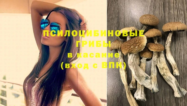 прущий лед Алзамай