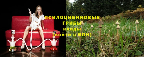 мескалин Алексин