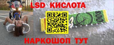 тгк Кингисепп