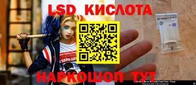 тгк Кингисепп