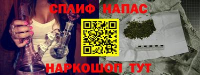 тгк Кингисепп