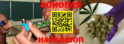 тгк Кингисепп