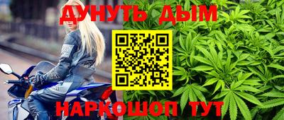 тгк Кингисепп