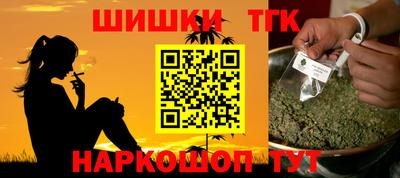 тгк Кингисепп