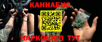 тгк Кингисепп