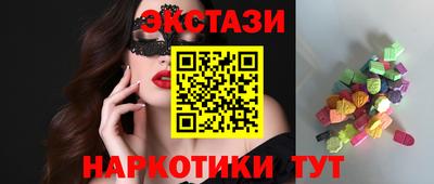 тгк Кингисепп
