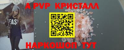 тгк Кингисепп