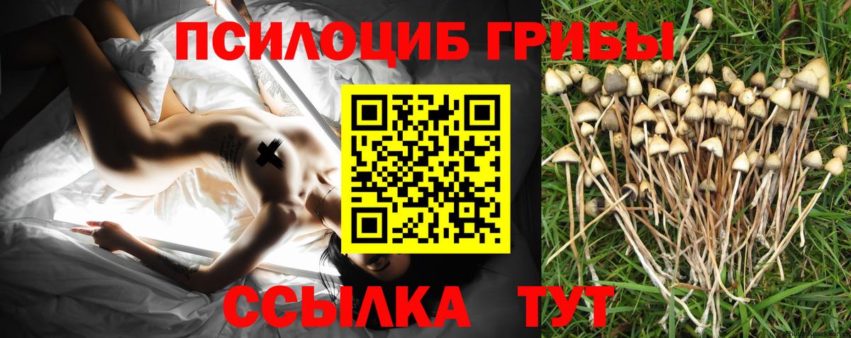 Псилоцибиновые грибы Psilocybine cubensis  Псилоцибиновые грибы мухоморы  Вход с VPN  Куйбышев 