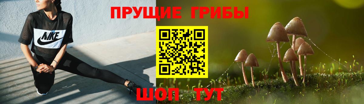 Галлюциногенные грибы прущие грибы Куйбышев